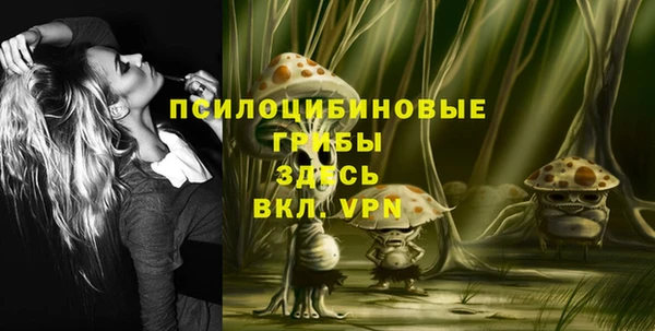 ГАЛЛЮЦИНОГЕННЫЕ ГРИБЫ Беломорск