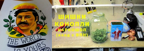 ГАЛЛЮЦИНОГЕННЫЕ ГРИБЫ Беломорск