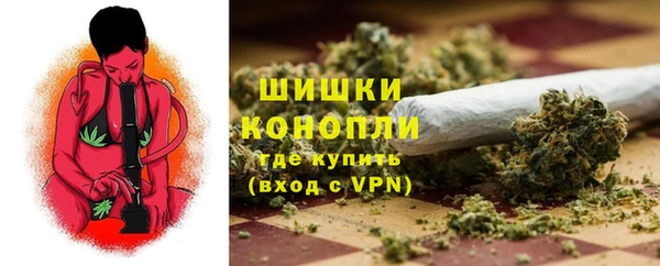 2c-b Белокуриха