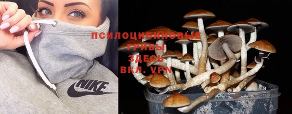 ГАЛЛЮЦИНОГЕННЫЕ ГРИБЫ Беломорск