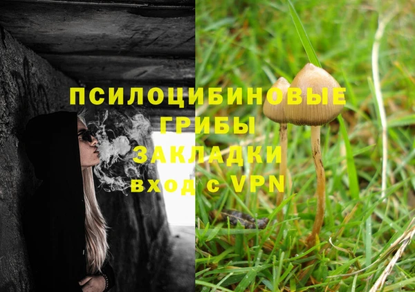 ГАЛЛЮЦИНОГЕННЫЕ ГРИБЫ Беломорск